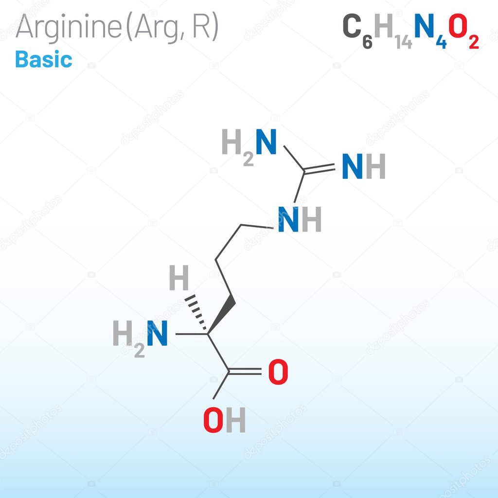 Arginine (Arg, R) amino acid molecule. (Chemical formula C6H14N4O2) it
