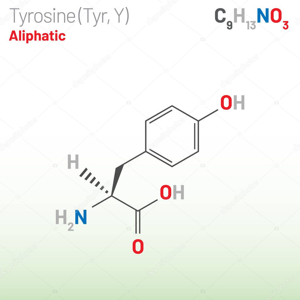 Tyrosine (Trp, W) amino acid molecule. (Chemical formula C9H11NO3) it plays role in protein synthesis, it is precursor for synthesis of catecholamines, thyroxine, melanin. Ball-and-stick model, space-filling model and skeletal formula. Layered vector