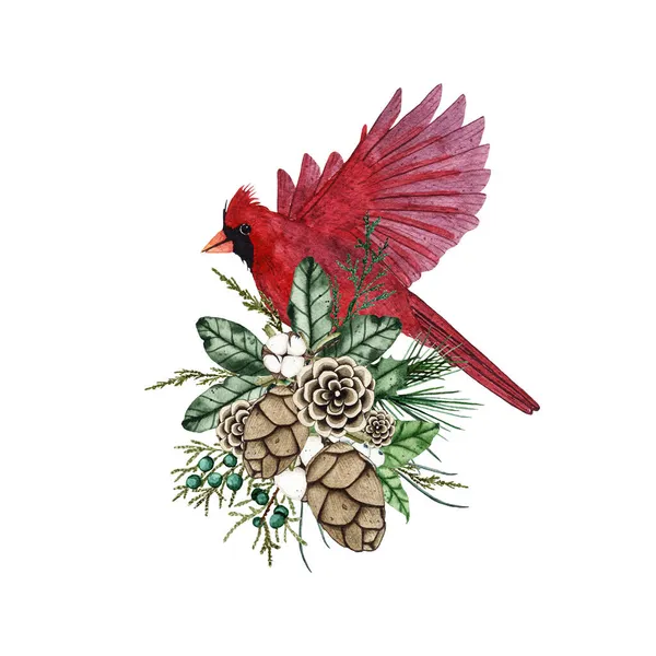 水の色松のコーンの花束を持つクリスマスの赤い鳥 白い背景に隔離されたモミの枝 冬の休日のクリスマスのお祝いイラスト — ストック写真