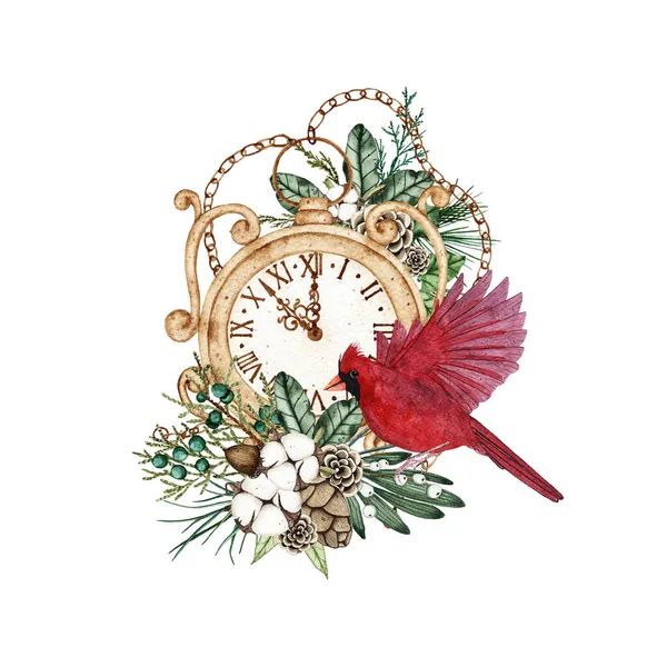 Kırmızı kardinal kuşlu suluboya Noel şarabı saat, çam kozalakları, köknar dalları — Stok fotoğraf