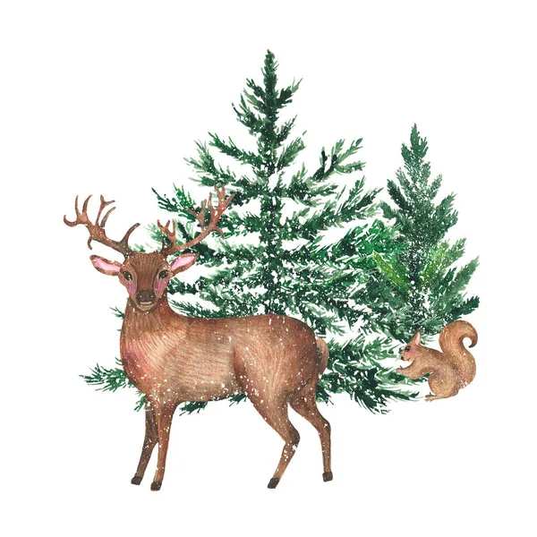 Aquarel Winter Besneeuwde Kerstbomen Met Herten Eekhoorn Geïsoleerd Witte Achtergrond — Stockfoto
