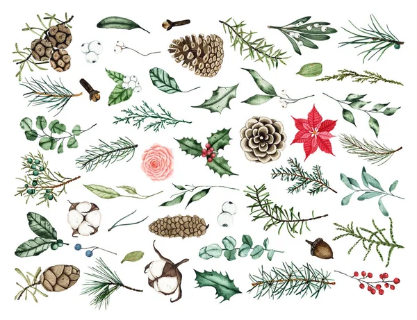 Συλλογή νερομπογιάς Χριστουγεννιάτικη χλωρίδα, κουκουνάρια, κλαδιά ελάτης, βαμβάκι, πράσινα φύλλα — Φωτογραφία Αρχείου
