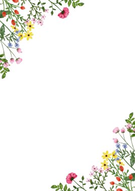 Suluboya yabani çiçek sınırı. Botanik ilkbahar yaz çiçekleri çerçevesi