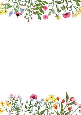 Suluboya yabani çiçek sınırı. Botanik ilkbahar yaz çiçekleri çerçevesi