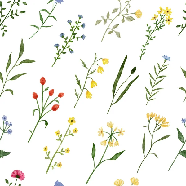 Акварель дикий цветок бесшовный узор. Ботанические весенние летние цветы для ткани — стоковое фото