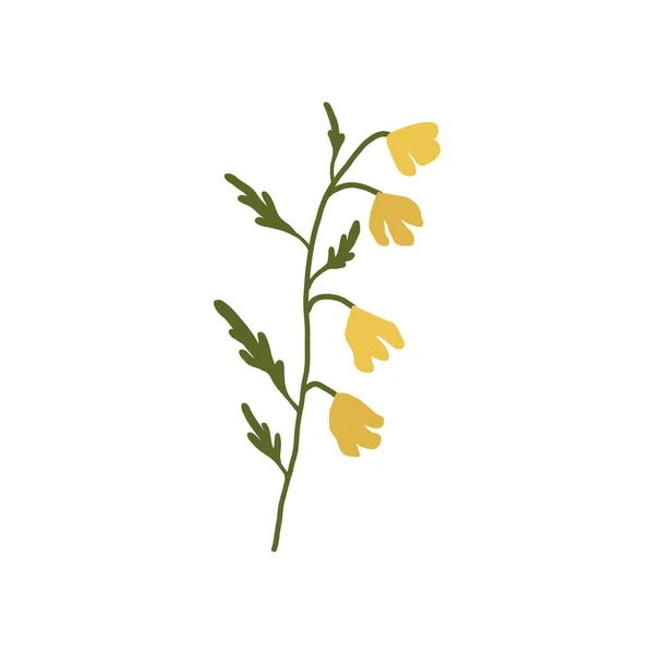 Absztrakt sárga vadvirág elszigetelt fehér háttér — Stock Vector