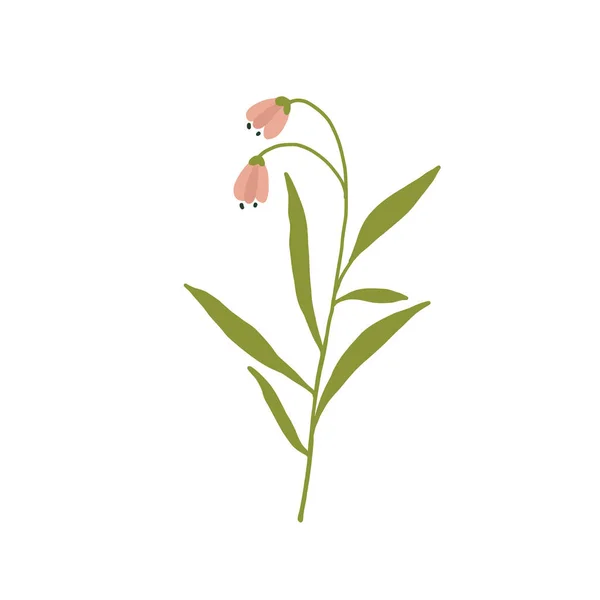 Astratto fiore selvatico rosa isolato su sfondo bianco — Vettoriale Stock
