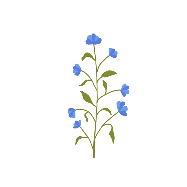 Abstrato azul wildflower isolado no fundo branco — Vetor de Stock