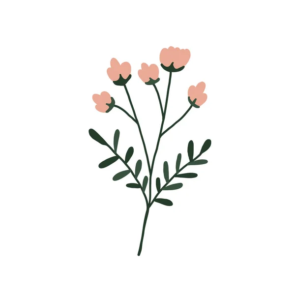 Absztrakt rózsaszín vadvirág elszigetelt fehér háttér — Stock Vector