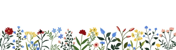 Wildblumen nahtlose Grenze. Botanischer Frühling Sommer Blumen Banner zur Dekoration — Stockvektor