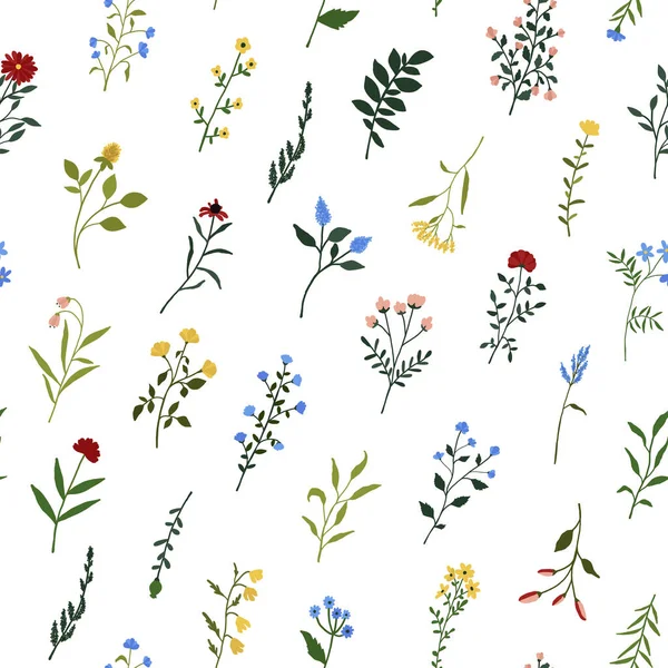 Бесшовный Рисунок Полевыми Цветами Дикие Цветы Цветочная Ботаническая Печать Ткань — стоковый вектор