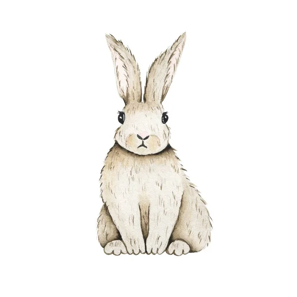 Watercolor White Bunny Isolated White Background Fauna Farm Rabbit Hare — Stock Photo, Image