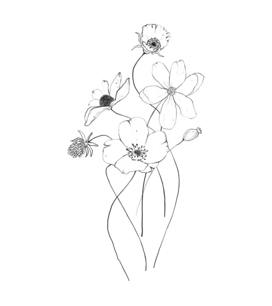 Botanic Outline Wildflower Bouquet Hand Drawn Floral Abstract Pencil Sketch — ストック写真