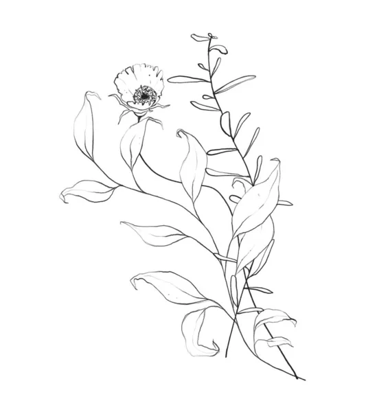 Botanic Outline Wildflower Bouquet Hand Drawn Floral Abstract Pencil Sketch — стоковое фото