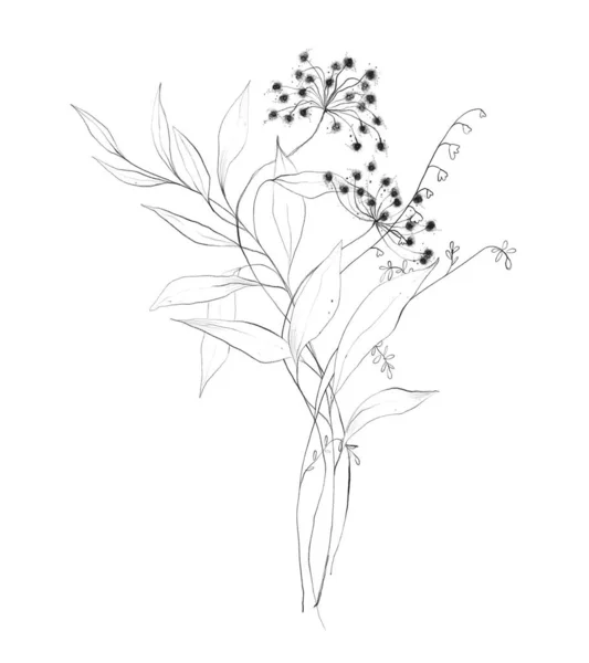 Botanic Outline Wildflower Bouquet Hand Drawn Floral Abstract Pencil Sketch — Zdjęcie stockowe