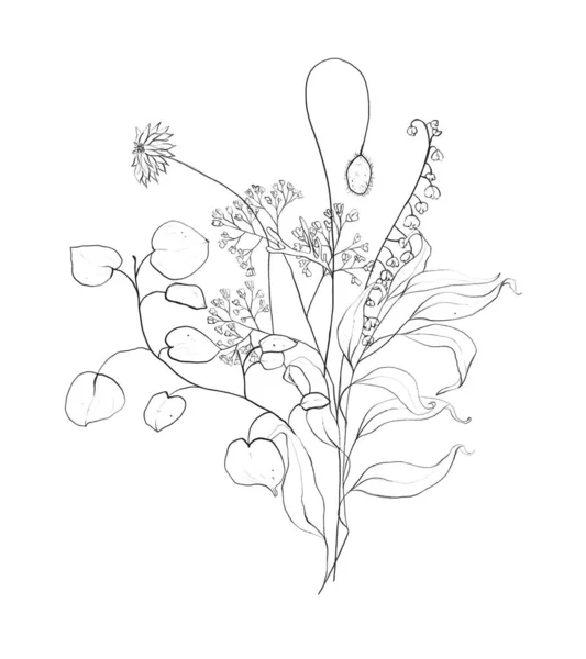 Botanic Outline Wildflower Bouquet Hand Drawn Floral Abstract Pencil Sketch — Stockfoto