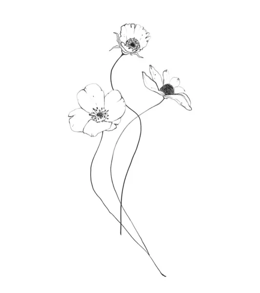 Botanik çizgisi yaban çiçeği buketi. El çizimi soyut kalem çizimi — Stok fotoğraf