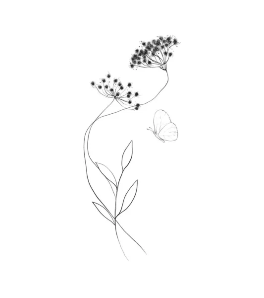 Botanic outline wildflower bouquet. Hand drawn floral abstract pencil sketch — Stock Photo, Image