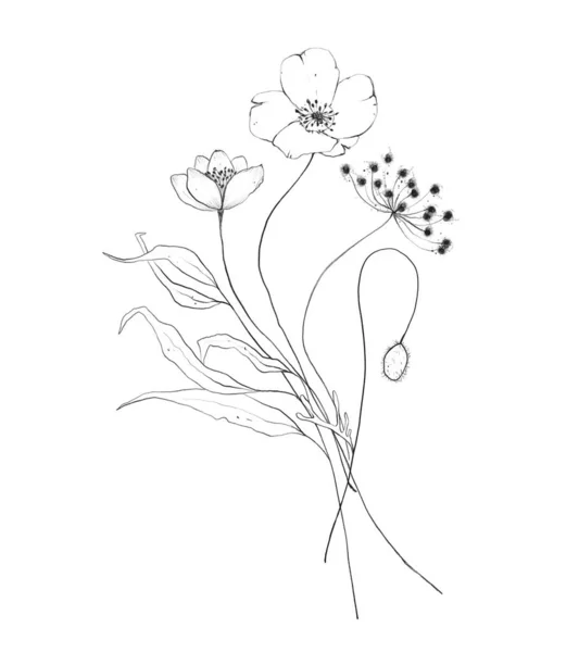 Botanische omtrek wilde bloem boeket. Met de hand getekend abstracte potloodschets — Stockfoto