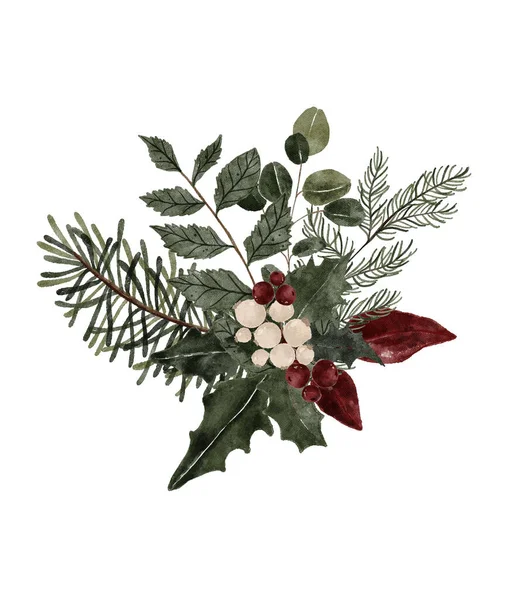 Υδατογραφία Χειμώνα Λουλούδια Εικονογράφηση Μπουκέτο Χριστουγεννιάτικη Πρασινάδα Ανθοσυνθέσεις Λεπτή Βοτανική — Φωτογραφία Αρχείου
