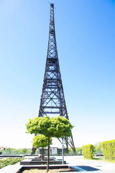 Des Pissenlits Contre Ciel Pissenlits Sur Fond Tour Beau Paysage — Photo