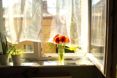 A beautiful bouquet of flowers on the window. Lilies on the window. Background. Texture.