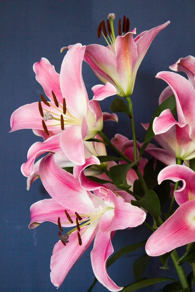 Beautiful bouquet of flowers. Lilies on a dark background. Background. Texture.
