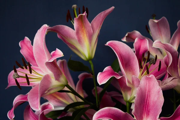 Beautiful Bouquet Flowers Lilies Dark Background Background Texture — Photo