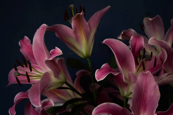 Beautiful Bouquet Flowers Lilies Dark Background Background Texture — Stok fotoğraf