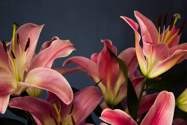 Beautiful Bouquet Flowers Lilies Dark Background Background Texture — Zdjęcie stockowe