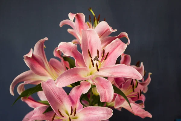 Beautiful Bouquet Flowers Lilies Dark Background Background Texture — Fotografia de Stock