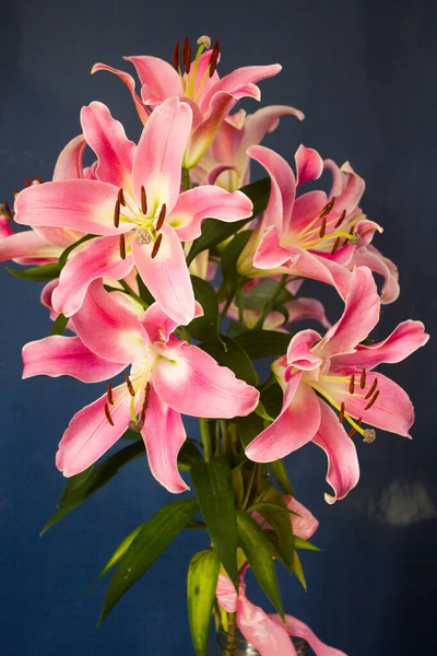 Beautiful Bouquet Flowers Lilies Dark Background Background Texture — Stockfoto