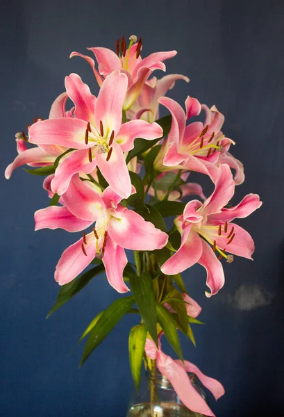 Beautiful bouquet of flowers. Lilies on a dark background. Background. Texture.