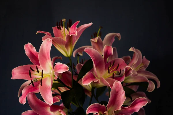Прекрасний Букет Квітів Лілії Темному Тлі Тло Текстура — стокове фото