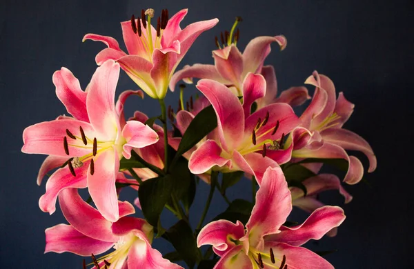 Beautiful Bouquet Flowers Lilies Dark Background Background Texture — Stockfoto