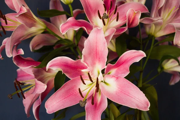 Beautiful Bouquet Flowers Lilies Dark Background Background Texture — Fotografia de Stock