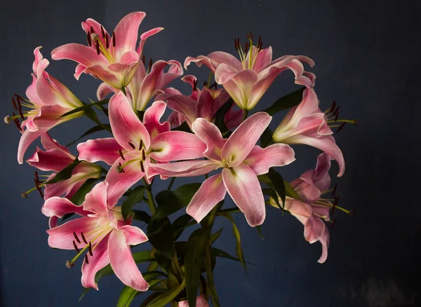 Beautiful bouquet of flowers. Lilies on a dark background. Background. Texture.