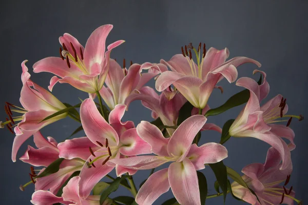 Beautiful Bouquet Flowers Lilies Dark Background Background Texture — Fotografia de Stock
