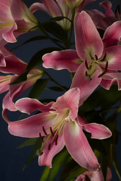 Beautiful bouquet of flowers. Lilies on a dark background. Background. Texture.