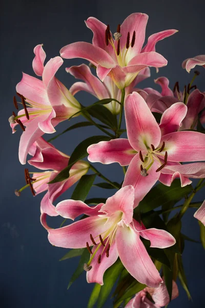 Beautiful bouquet of flowers. Lilies on a dark background. Background. Texture.