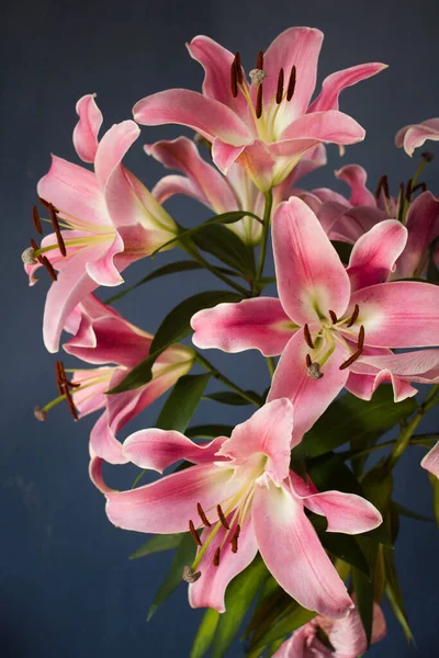 Beautiful Bouquet Flowers Lilies Dark Background Background Texture — Stok fotoğraf