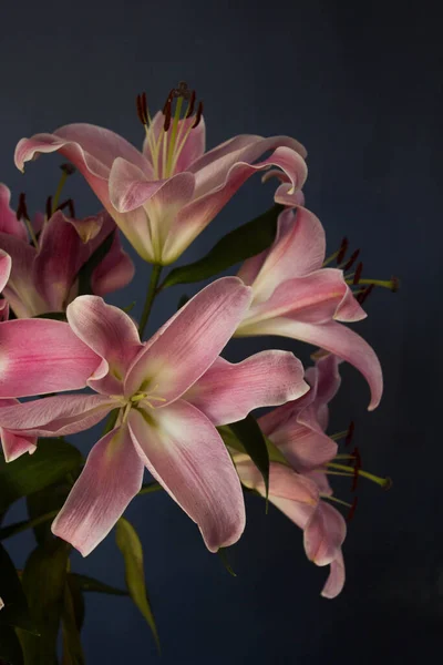 Beautiful Bouquet Flowers Lilies Dark Background Background Texture — Stock Fotó