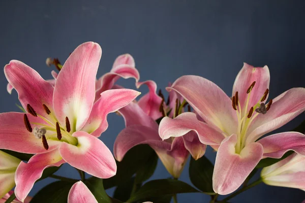 Beautiful Bouquet Flowers Lilies Dark Background Background Texture — ストック写真