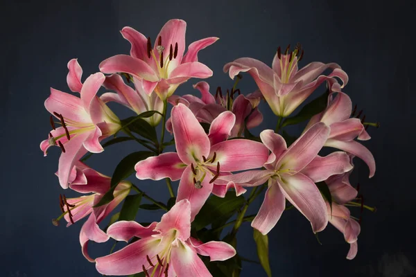 Beautiful bouquet of flowers. Lilies on a dark background. Background. Texture.