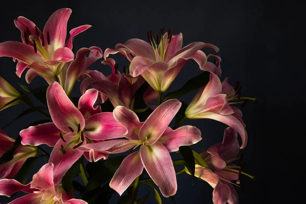Beautiful bouquet of flowers. Lilies on a dark background. Background. Texture.
