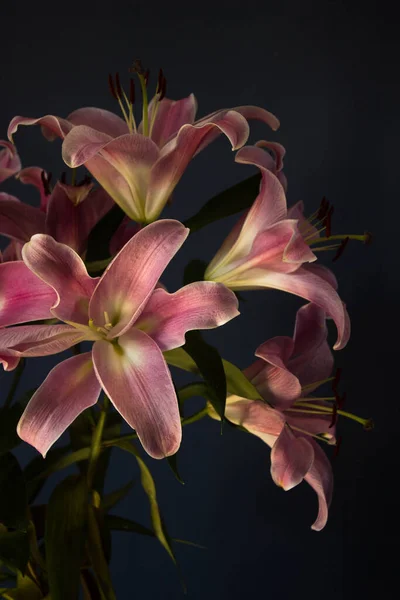 Beautiful Bouquet Flowers Lilies Dark Background Background Texture — Stok fotoğraf