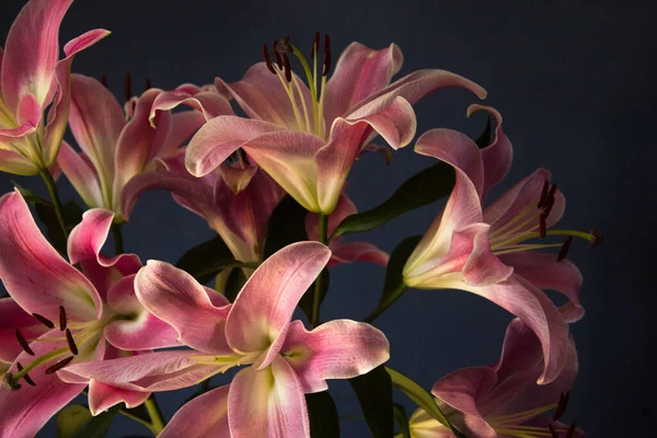 Beautiful Bouquet Flowers Lilies Dark Background Background Texture – stockfoto