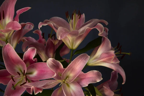 Beautiful Bouquet Flowers Lilies Dark Background Background Texture — Foto de Stock