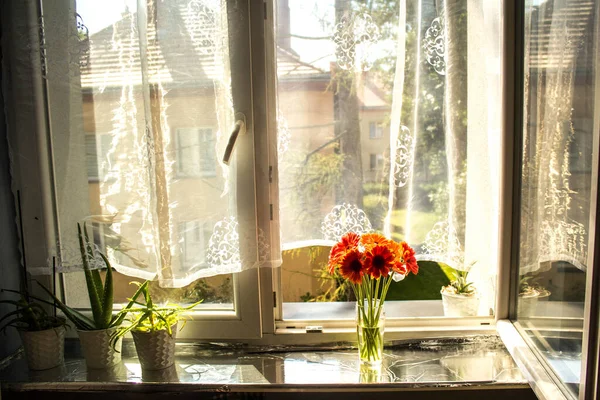 A beautiful bouquet of flowers on the window. Lilies on the window. Background. Texture.