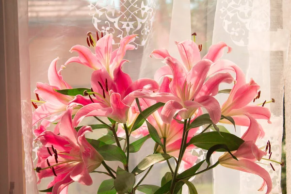 Beautiful Bouquet Flowers Window Lilies Window Background Texture — Foto de Stock